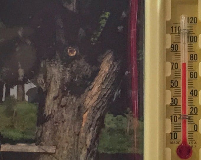 Vintage Advertising Thermometer Calendar Petroliana ARCO Oil