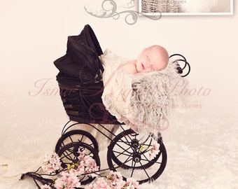 Beautiful Digital Newborn Photography Prop ( Old Baby Carriage )