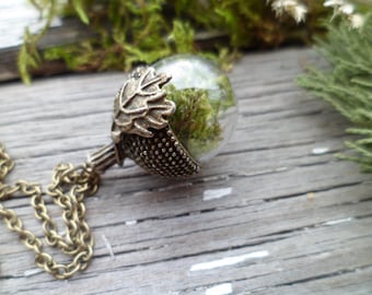 SALE! Real Moss Necklace, Acorn Necklace, Terrarium Necklace, Glass Acorn Necklace, Green Pendant