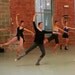 siamesepolonaise