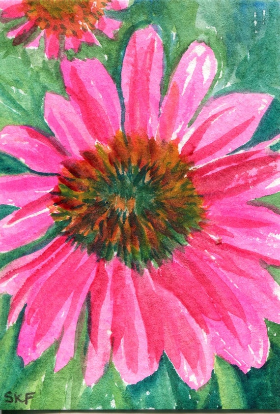 Coneflowers ACEO watercolor paintings original Coneflower