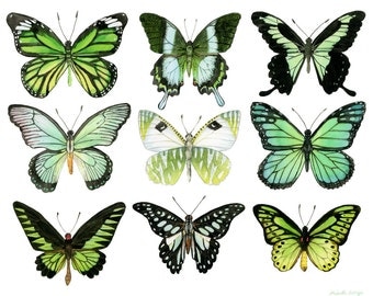 Green Butterflies Watercolor Print - Butterfly Art - Butterfly Watercolor - Wall Art - Home Decor - Sizes 5"x7" 8"x10" 11"x14"