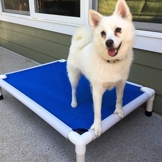 Chew Proof Dog Bed Wired Crate Bed Dog PVC by DianesK9Creations