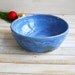 Ceramic Dog or Cat Bowl Handmade Blue Rustic Pet Dish Ceramic Water or Food Pottery Made in the USA Ready to Ship