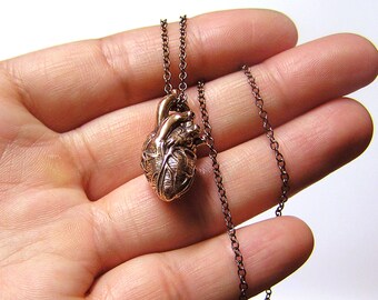 Anatomical Heart Necklace on a 20 inch chain (br)