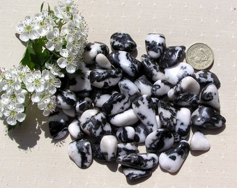 10 Zebra Stone Jasper Crystal Tumblestones, Crystal Collection, Black Crystals, White, Chakra Crystals, Aries Crystals, Meditation Stone