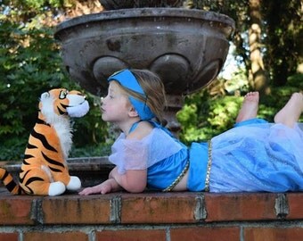 Princess Jasmine Costume, Aladdin, Toddler and Girls sizes, 4 Piece Set, Harem Pant-Halter Top, Hairband, sizes 12 month through 8