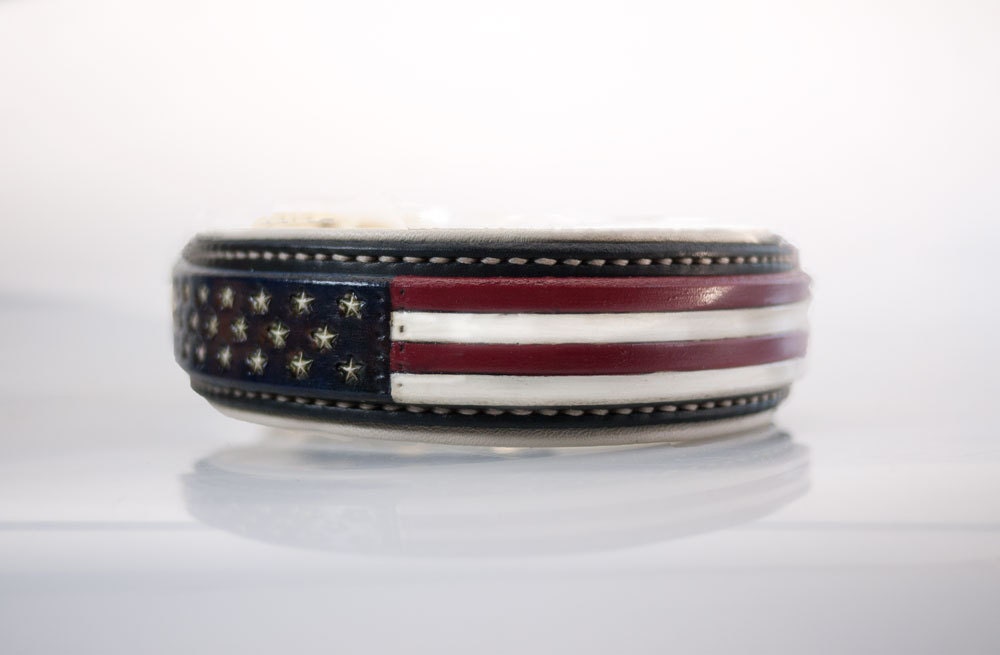 American Flag Dog Collar with Padding 4th of July dog collar