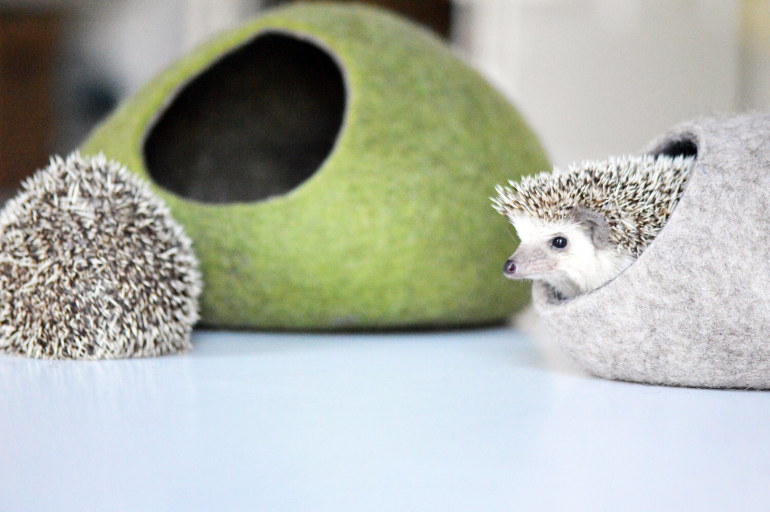 Hedgehog bed / small animal cave / small pet bed / felted pet