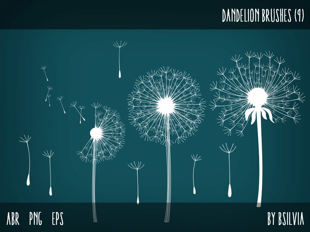 dandelion photoshop free download