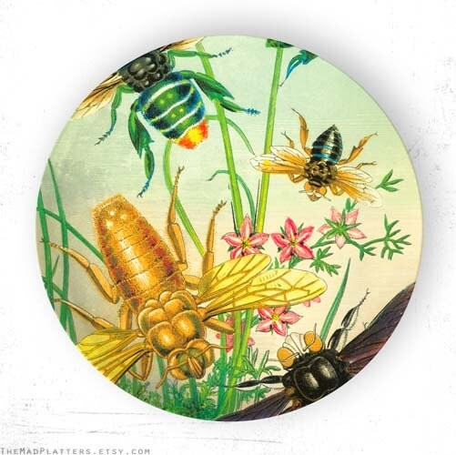 Bees II insects melamine platter