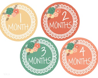 Baby Month Stickers Girl Monthly Stickers Baby Monthly Stickers Baby Girl Milestone Month Stickers Monthly Baby Stickers