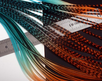 Extra Long Hair Feathers Turquoise Orange 8 Bright Colored Feathers 11-14" - By UniqueFeathers