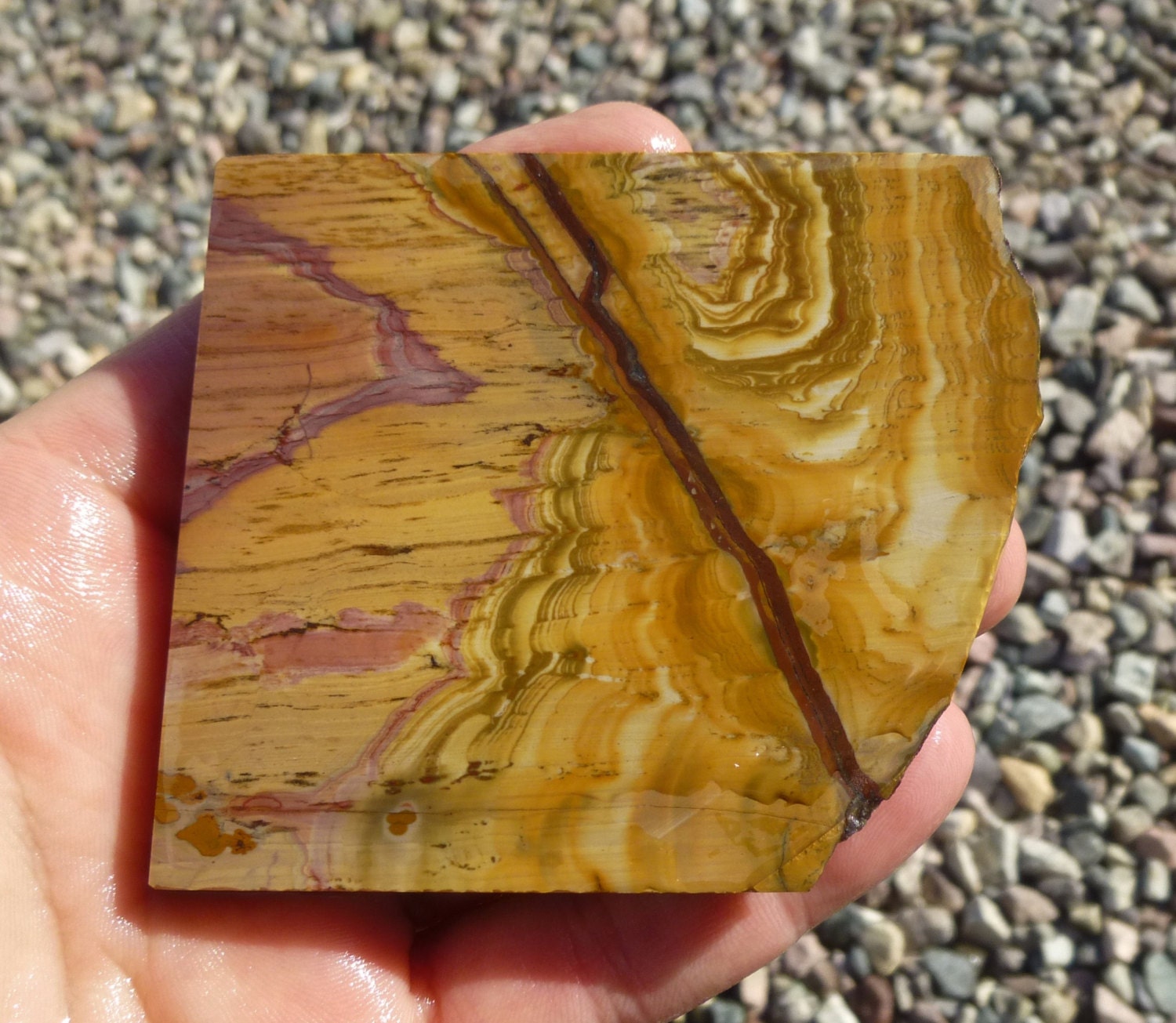 Nevada Paint Jasper Slab 65X65X8.5