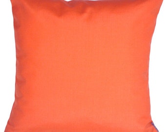 Sunbrella Melon 20x20 Outdoor Pillow