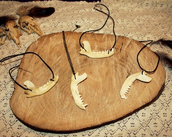 Racoon Jaw Necklace