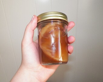 Booch! Kombucha SCOBY and Starter