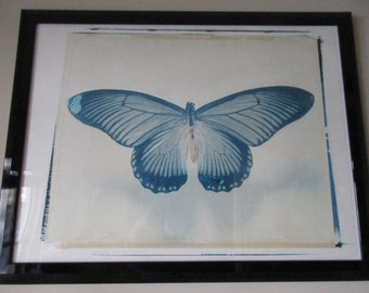 Butterfly Polaroid Transfer Photography