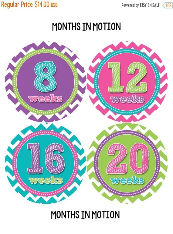 Pregnancy Week Stickers Baby Bump Sticker Weekly by MonthsinMotion