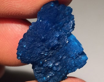 Top Quality 14.6ct XL Cavansite Crystal - Wagholi Mine, Maharashtra, India - Item:CV16049