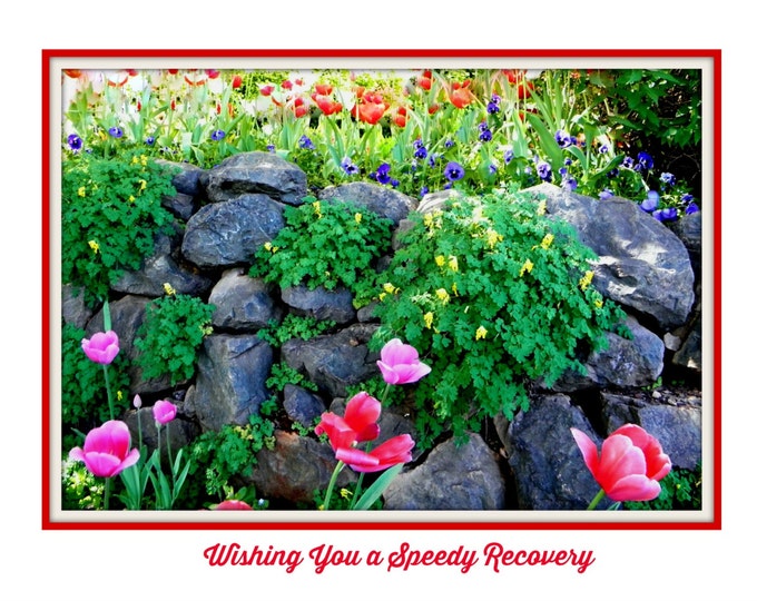 GET WELL Card, Speedy Recovery, Tulip Rock Garden Photo Stationary, Cheerful Red Text, Heavy Embossed Card Stock, Coordinating Envelope