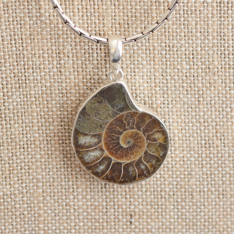 Ammonite Pendant Fossil Sterling Silver Brown Large Bail
