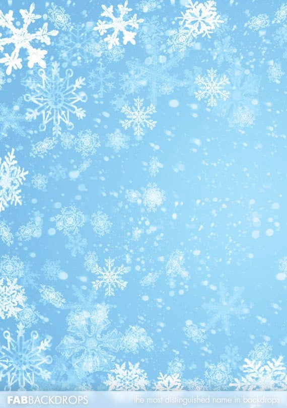 3x3 Snowflake Backdrop for Winter Holiday Photo Booth