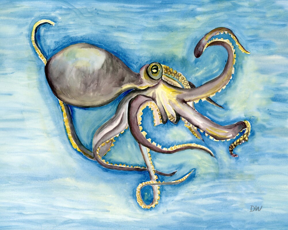 Octopus print 80069 watercolor painting on archival art