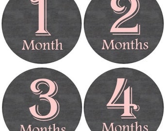 Baby Month Stickers Girl, Milestone Stickers, Month Stickers, Monthly Baby Stickers, Baby Stickers, Pink #20