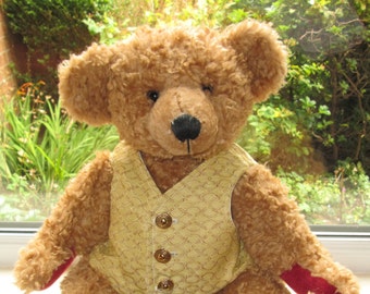 teddy bear with vest