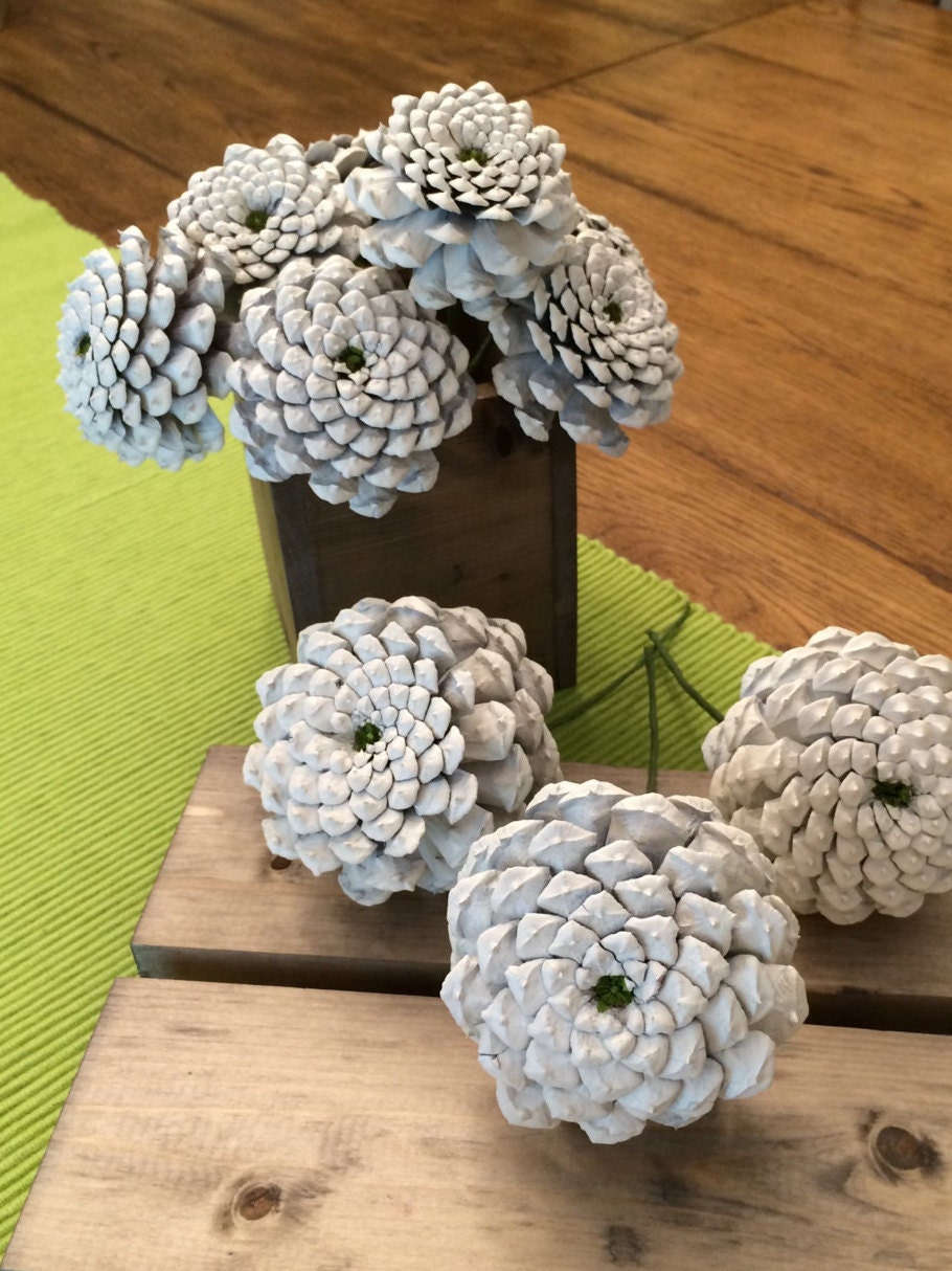 Pine Cone Flowers / White Zinnias Pinecone Flowers