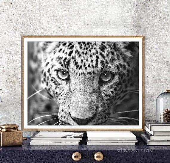 Leopard Print Leopard Art Leopard Wall Art by TheModernTrend