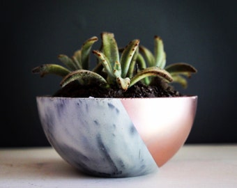 Concrete Planter. Marbled Concrete Planter. Modern Concrete Planter. Succulent Planter. Metallic Concrete Planter. Concrete Bowl Planter.