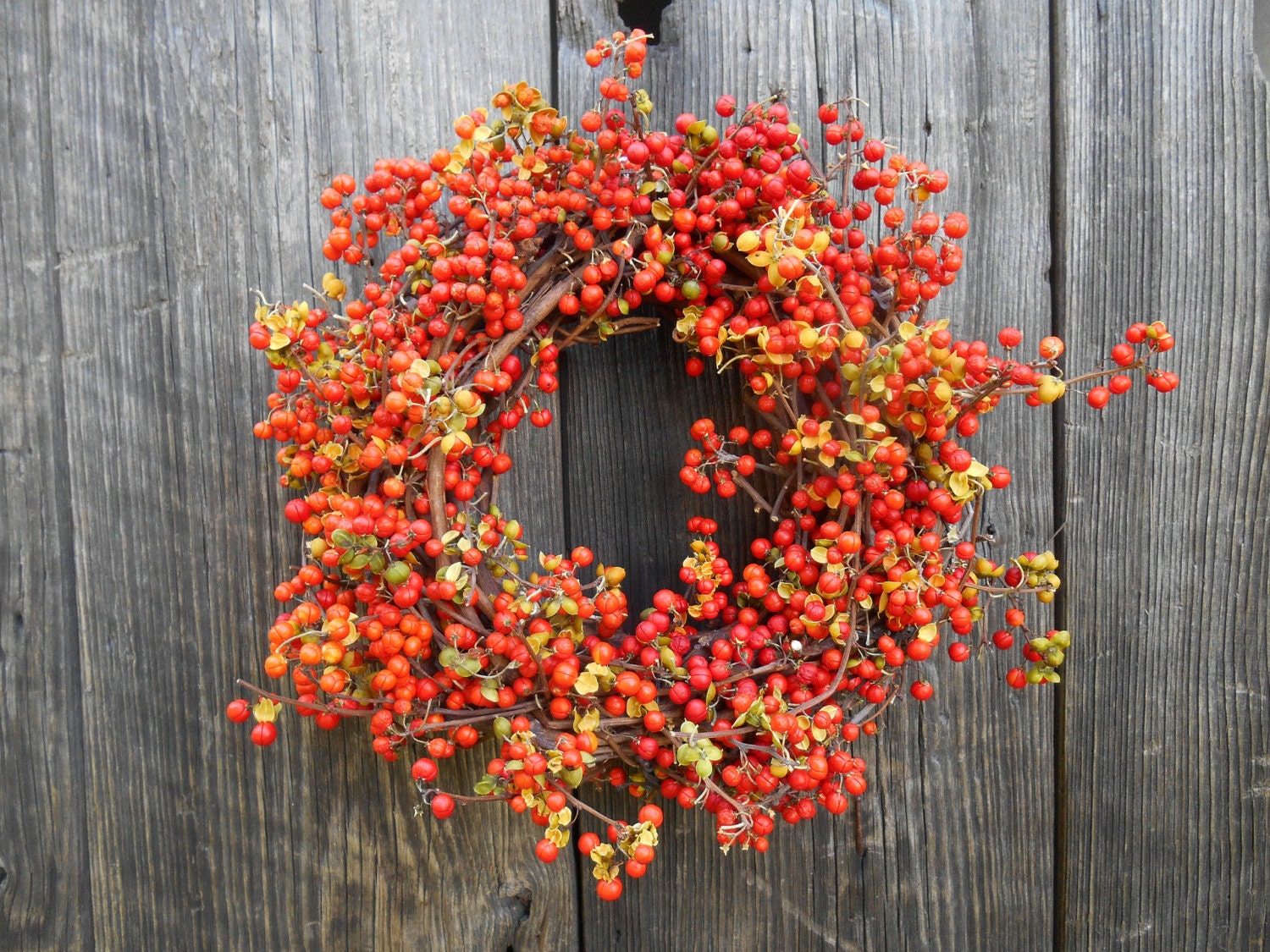 Real Bittersweet Wreath Grapevine Wreath Natural by Swansdowne