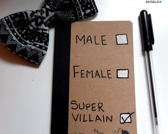 Male/Female/Super villain - Non binary - Gender - Genderfluid - Hand painted one of a kind notebook - sketchbook