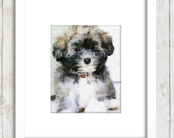 Havanese dog art | Etsy