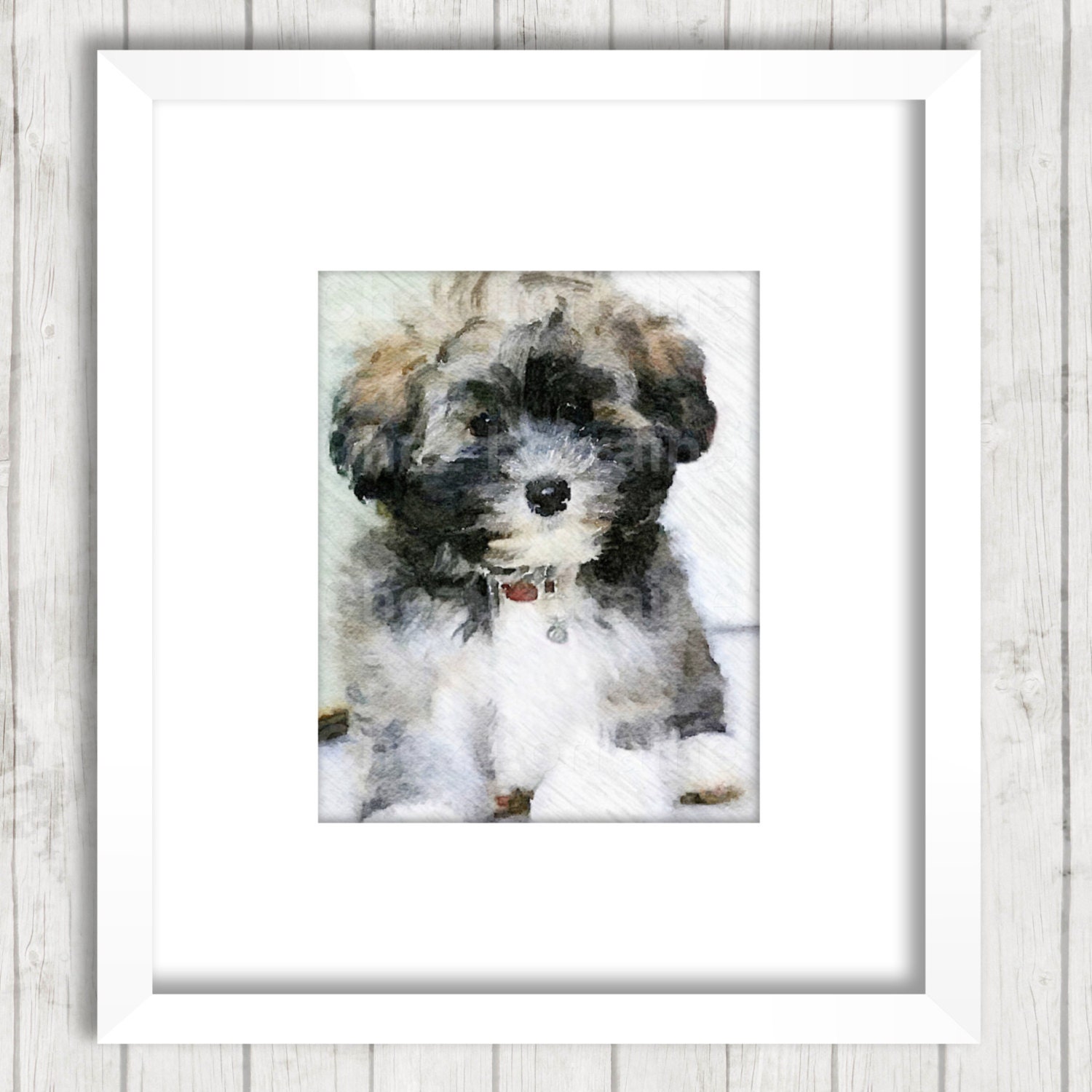 Havanese Puppy: Watercolor Fine Art Print Dog Watercolor