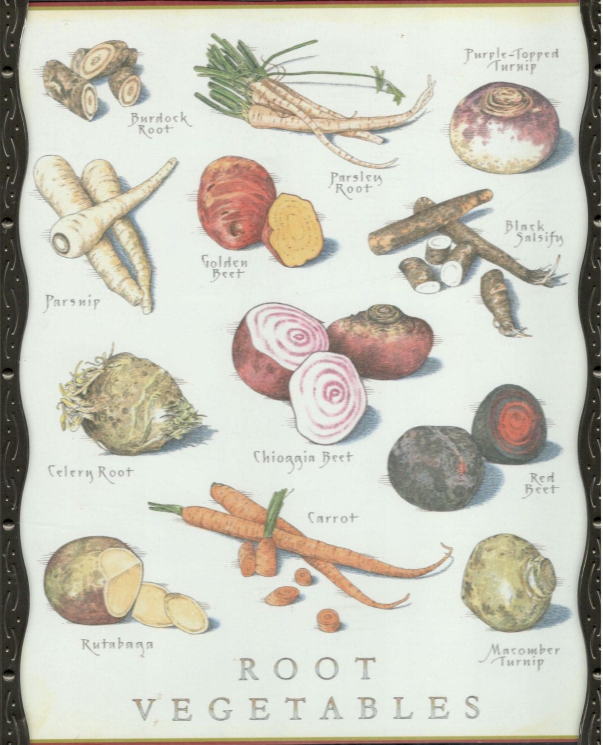 Framed Root Vegetables Color Print by Cook's Illustrated