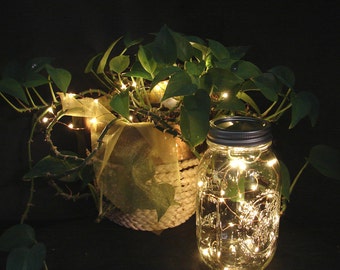 VALUE PACK Fairy Lights for mason jars and centerpieces with REPLACEABLE batteries. You pick quantity. 20 LEDs per wire, warm white lights.