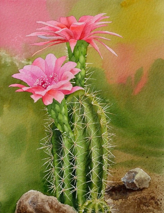 Cactus ORIGINAL wtercolor painting cactus painting
