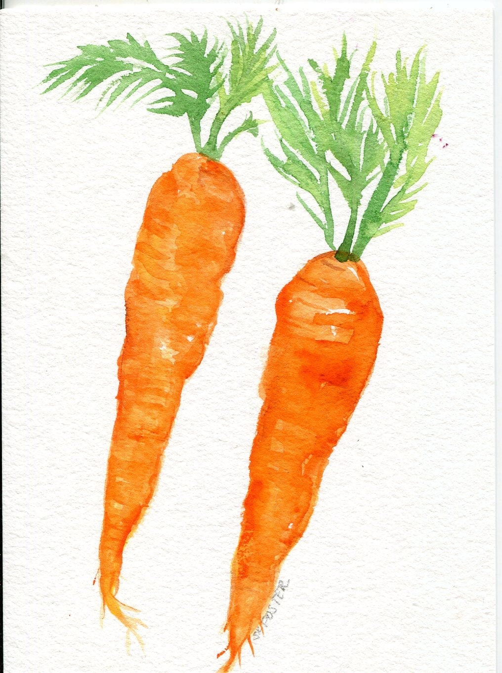 Морковь рисунок красками