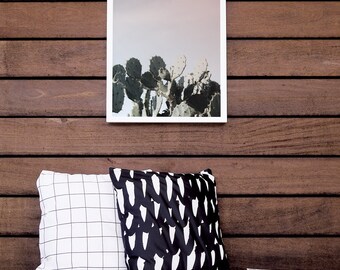 Home Décor, Cactus Décor, Art Print, Cactus Print, White Framed Print, Wall Decor, 8x10, 16x20, Wall Hanging, Photography. Beach CactusPrint
