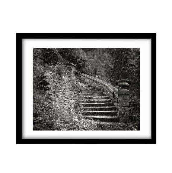 black and white photography steps black and white print