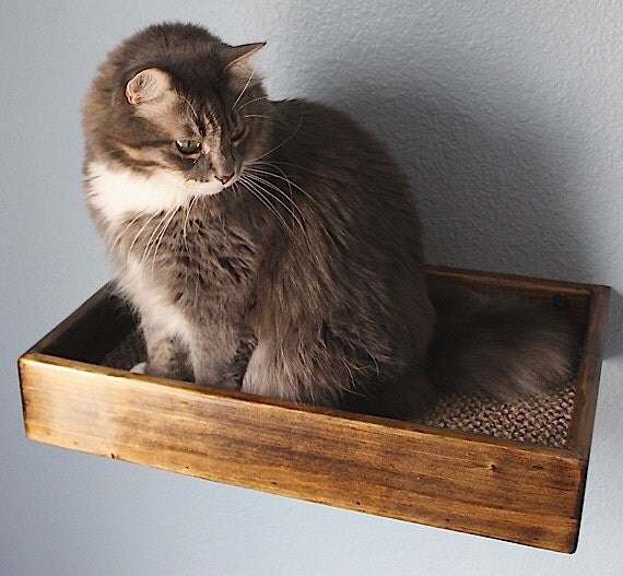 Cat Wall Bed/Shelf Floating Stained Wood Style