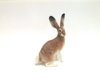 Sitting Hare