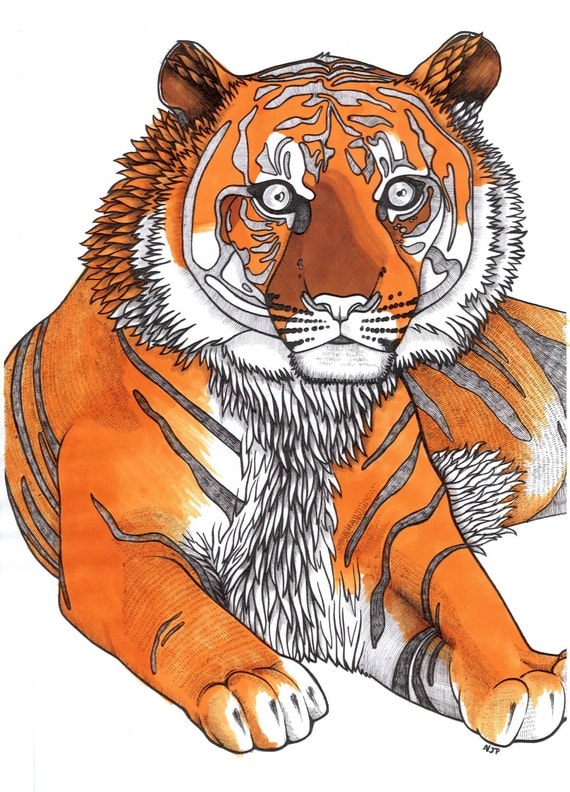 Items similar to LIMITED EDITION Tiger Print on Etsy