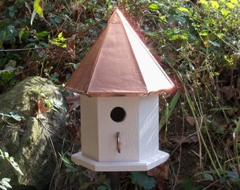 Diane's Bluebird House