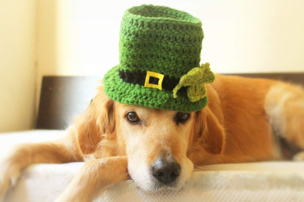 St. Patrick's Day Dog Hat Leprechaun Hat for Dogs