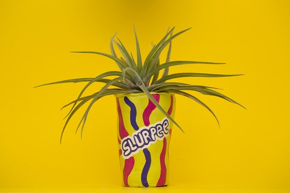 SLURPEE PLANTER / green-pink-purple