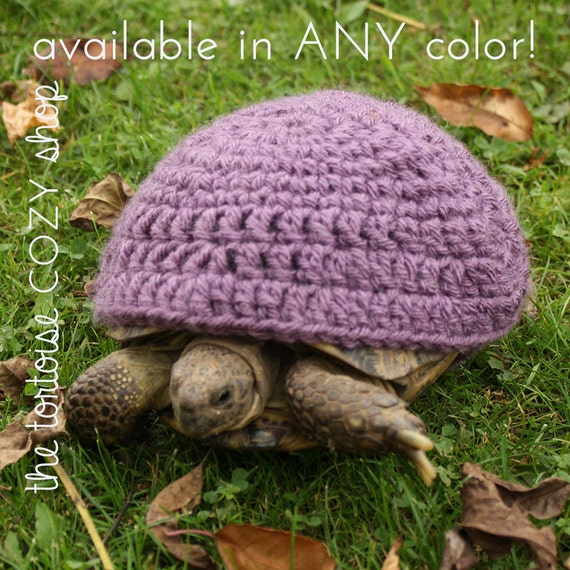 Tortoise Cozy Sweater by TheTortoiseCozyShop on Etsy